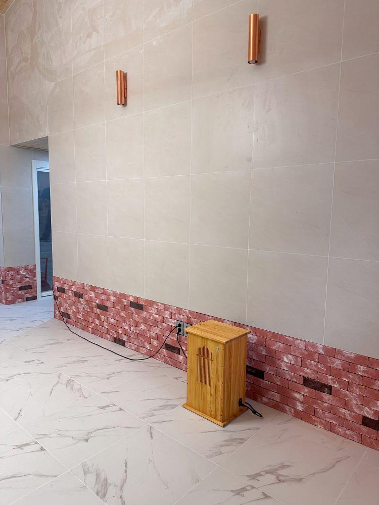 플라즈마 살균 및 냄새 제거기